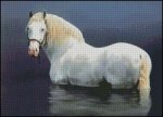 (image for) Stone Stallion
